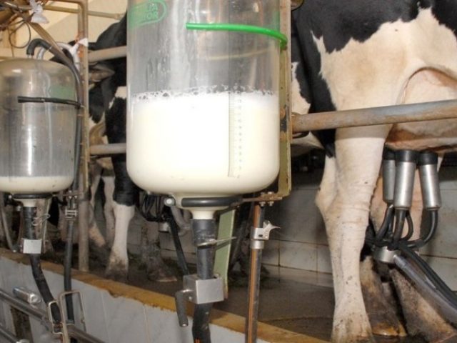 Preço pago ao produtor de leite no Rio Grande do Sul gera debates